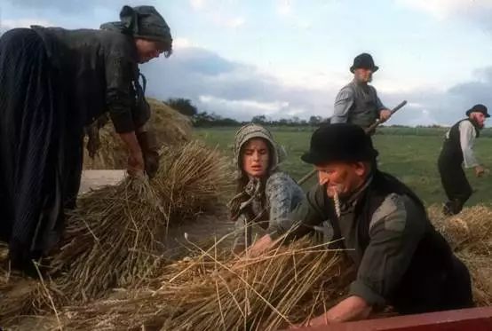 昆汀冷门电影,昆汀评价最高的电影