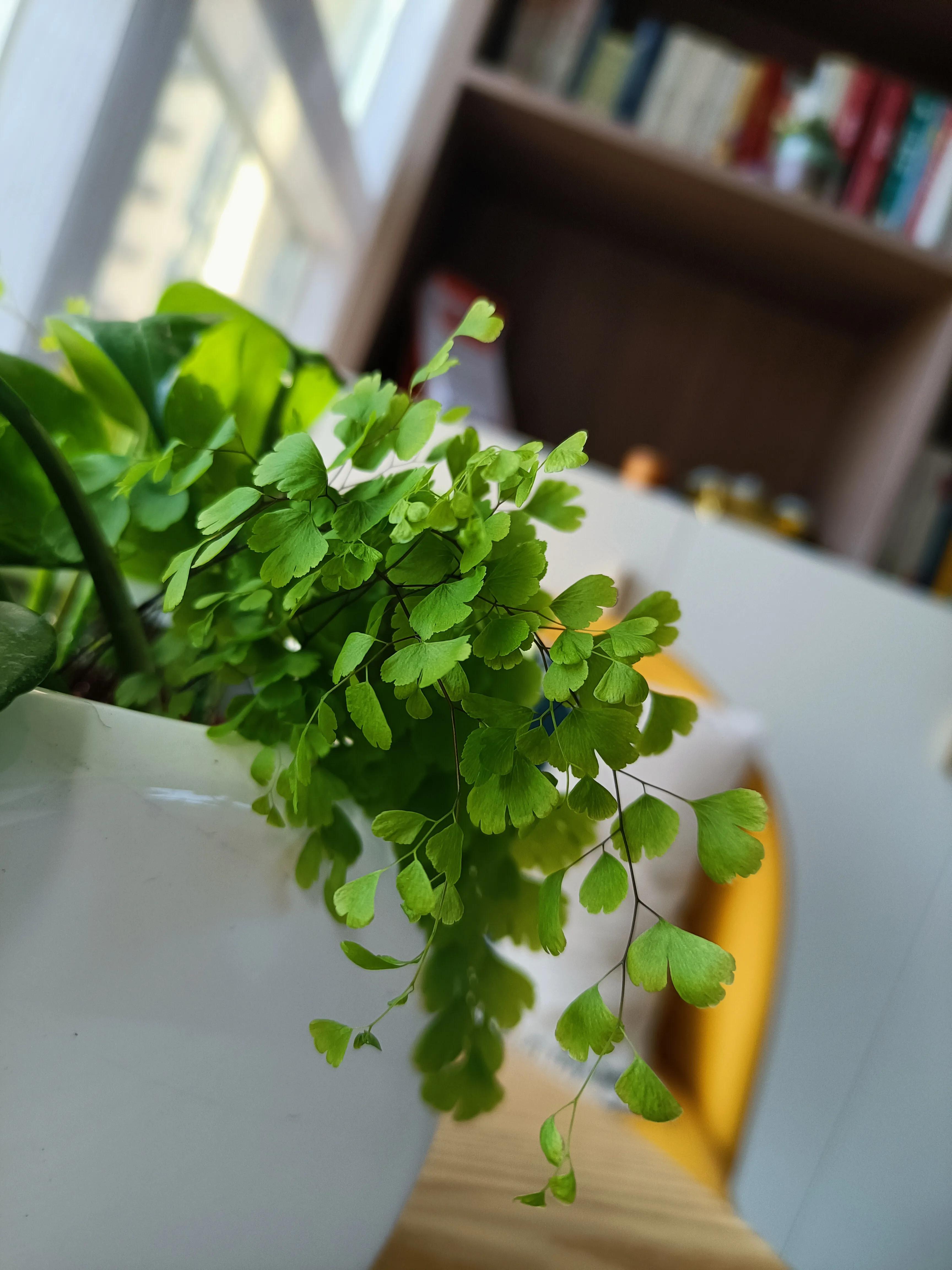 成年人哭正常吗,成年人的哭都调成静音