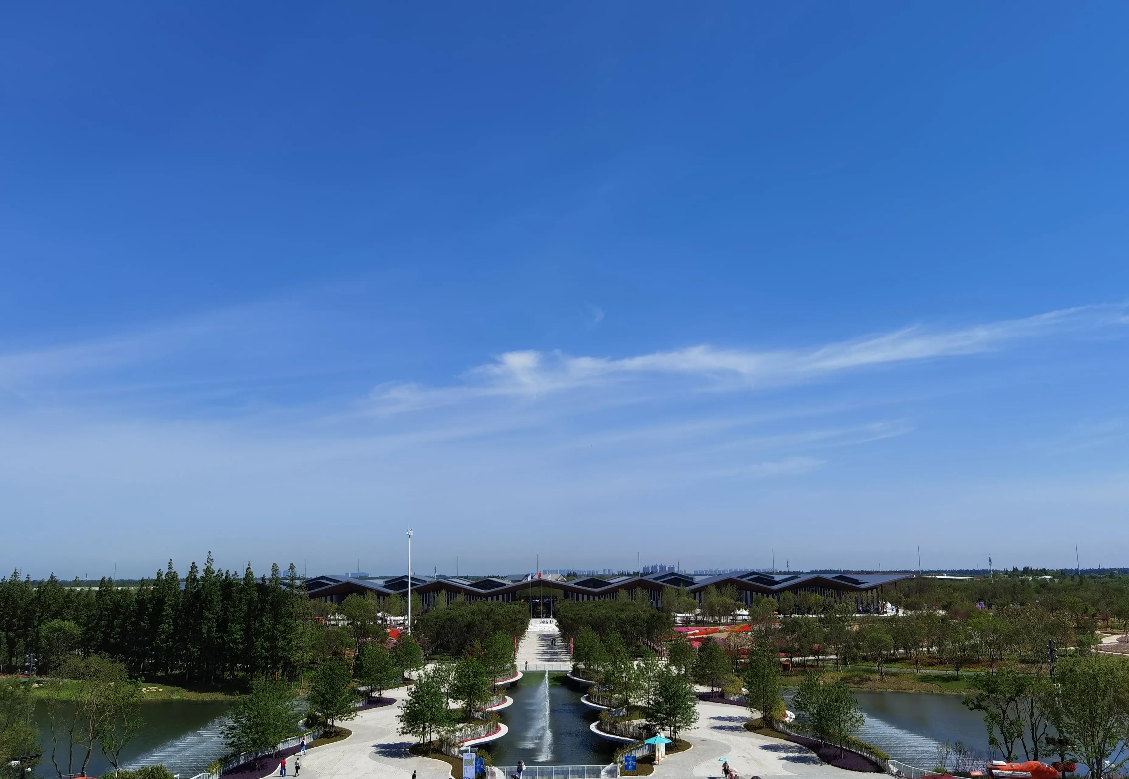 关于崇明花博会,崇明花博会全程花景