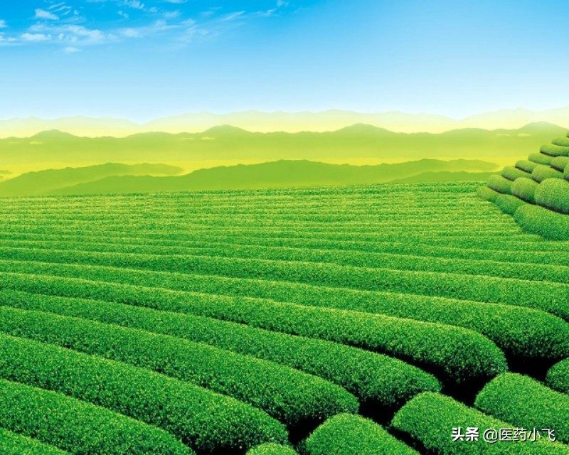 医药兰索拉唑,兰索拉唑每日用量