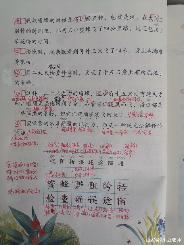 三年级下册语文15课蜜蜂讲解,三年级下册课文蜜蜂课后作业图表