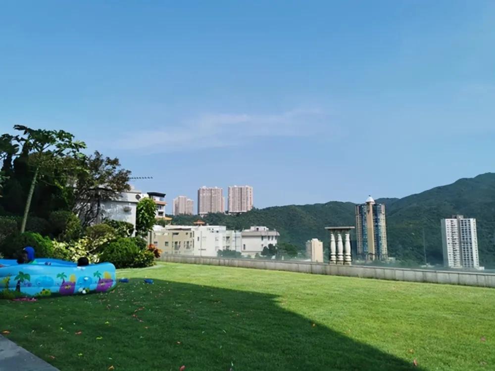 tvb艺员训练班第十二期名单,tvb10期艺员训练班完整名单