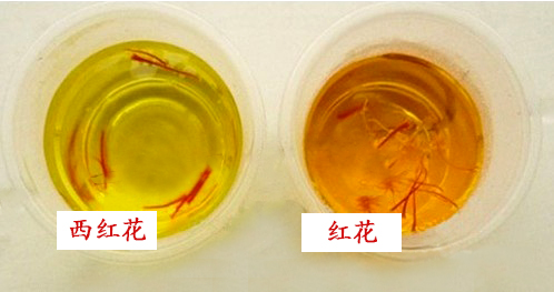 红花西红花鉴别对比,红花与西红花的区别点