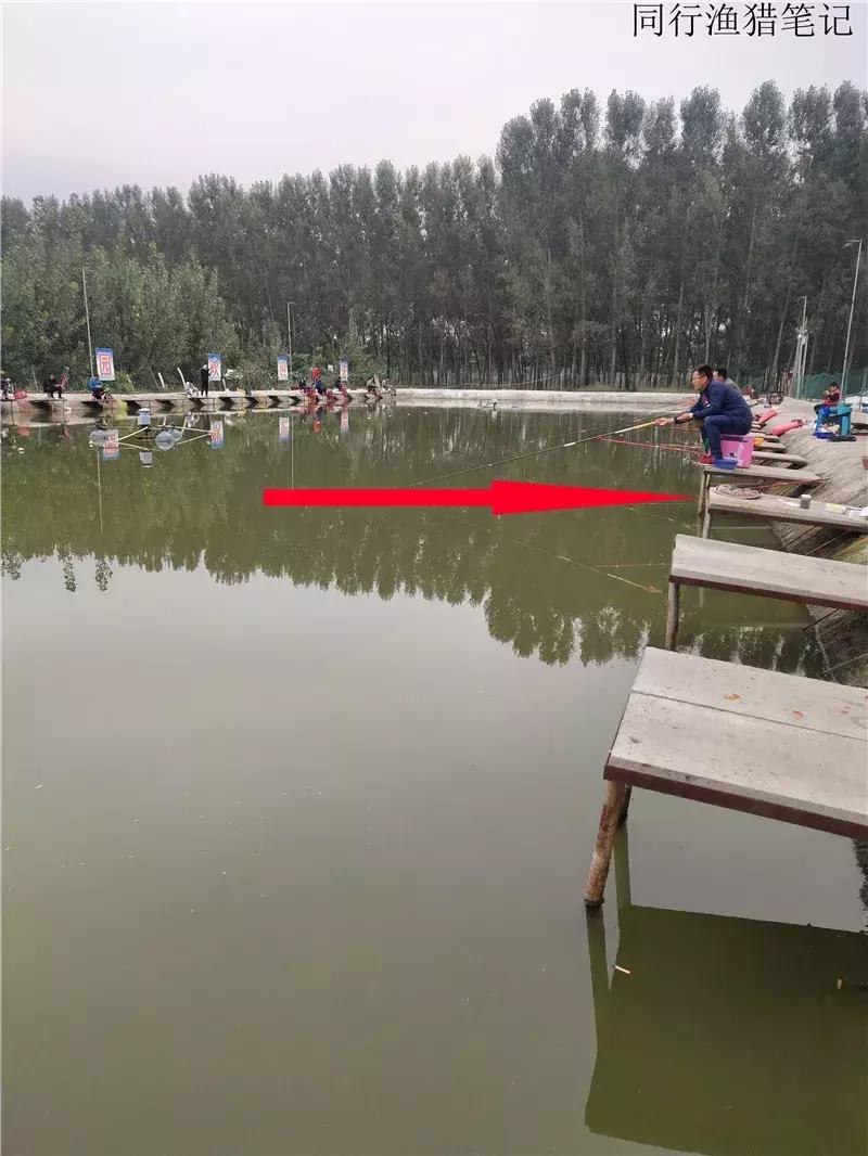 2019钓鱼日志,钓鱼笔记1