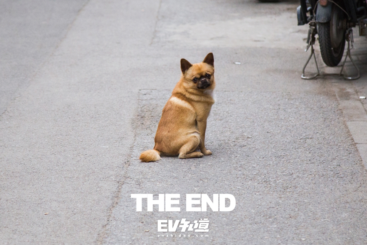 520鐗瑰埆浼佸垝,520鐗瑰埆鑺傜洰绛栧垝