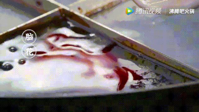 明星投毒吓人事件,深夜放毒招人恨的视频