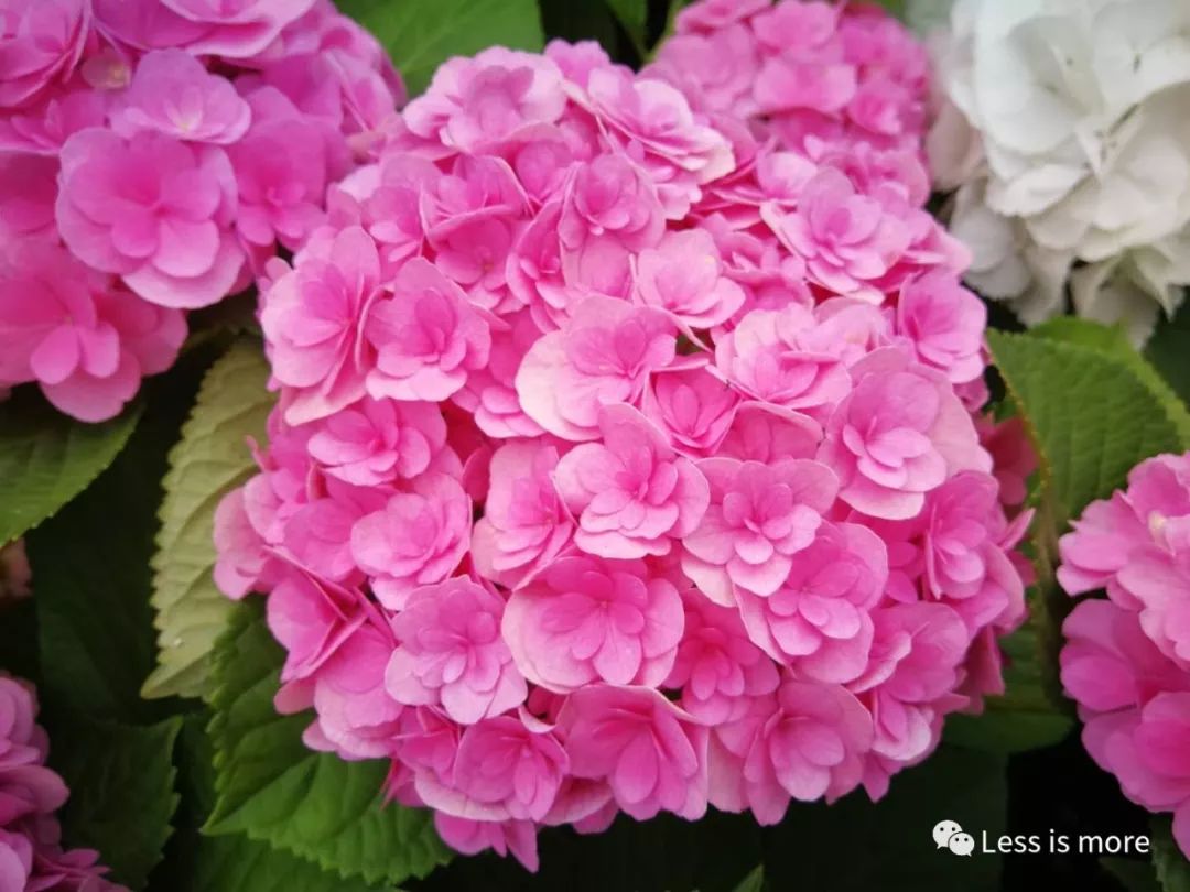 韩国济州岛超详细旅游规划攻略,韩国济州岛攻略自由行