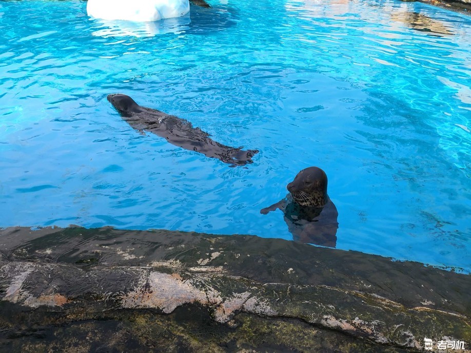 珠海长隆海洋王国亲子游攻略,珠海长隆海洋王国攻略亲子游