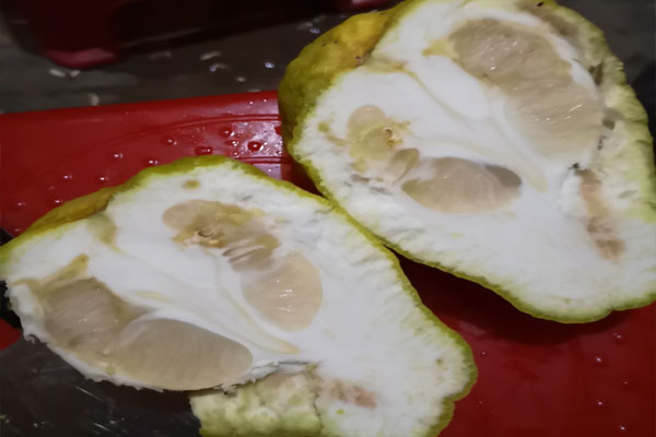 为什么柚子种家里结果不甜,家里种的柚子果肉小怎么回事