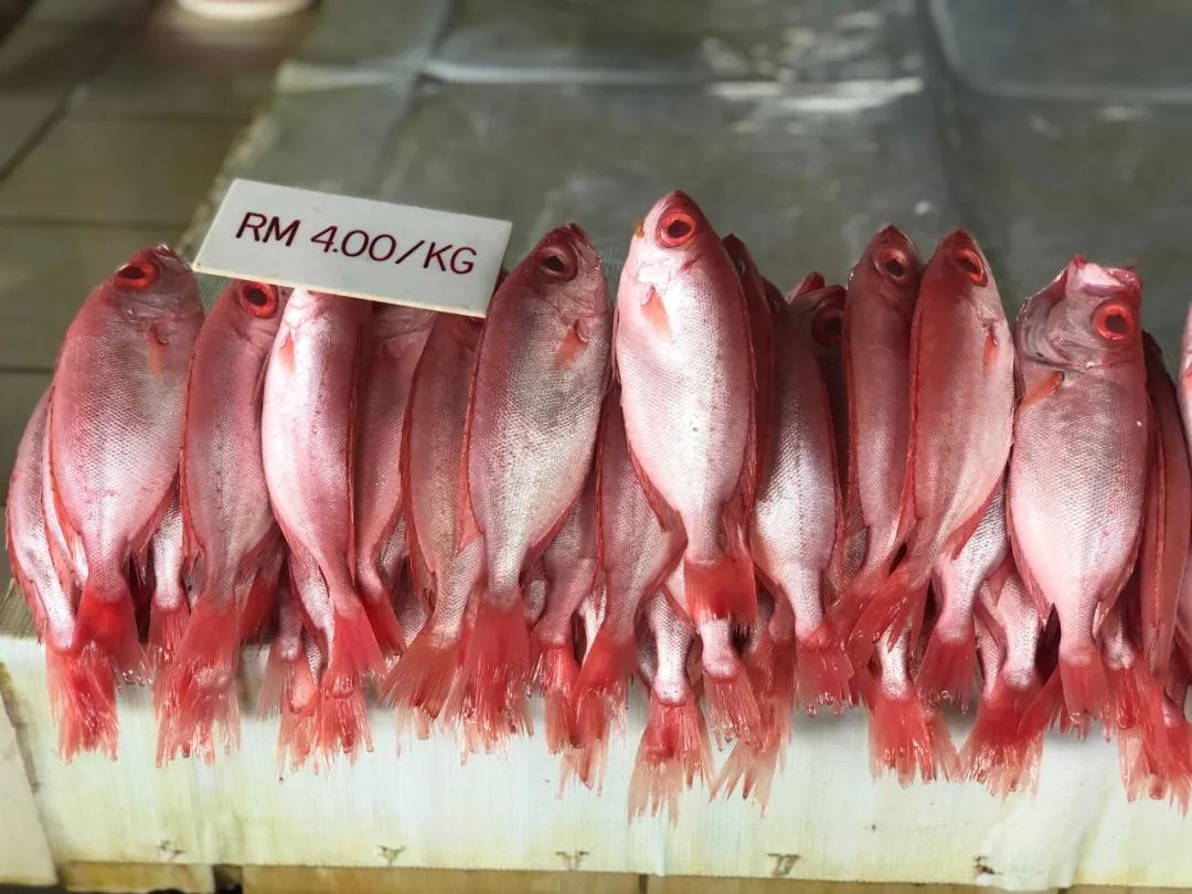 出不了门的心情,出不了门的日子让人心绪难平