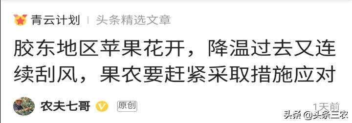 怎么写出又好又叫座的图文？掌握“三问六要诀”|三农讲座大咖说