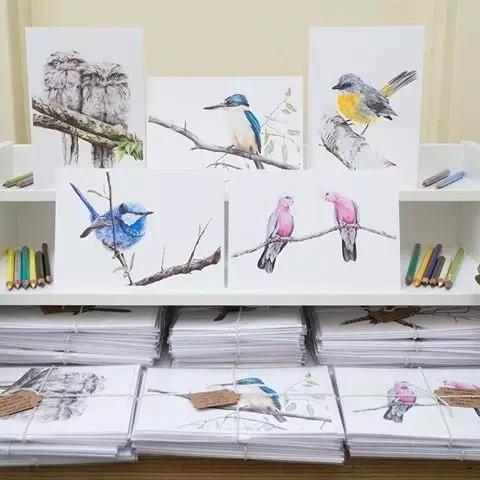 画鸟彩铅教程,画鸟彩铅