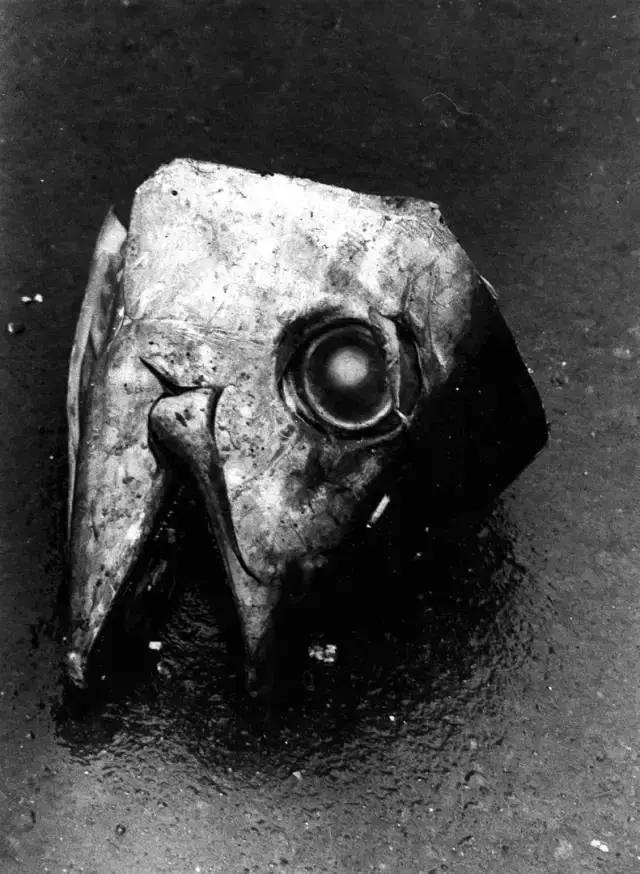 世界级摄影大师作品,100位摄影大师代表作