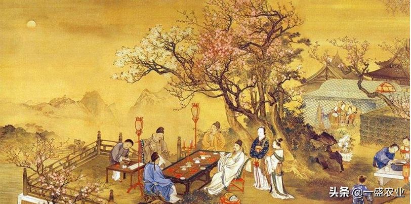 俗语为何说茶满欺人酒满敬人,茶满欺人酒满敬人蕴含着哪些深意