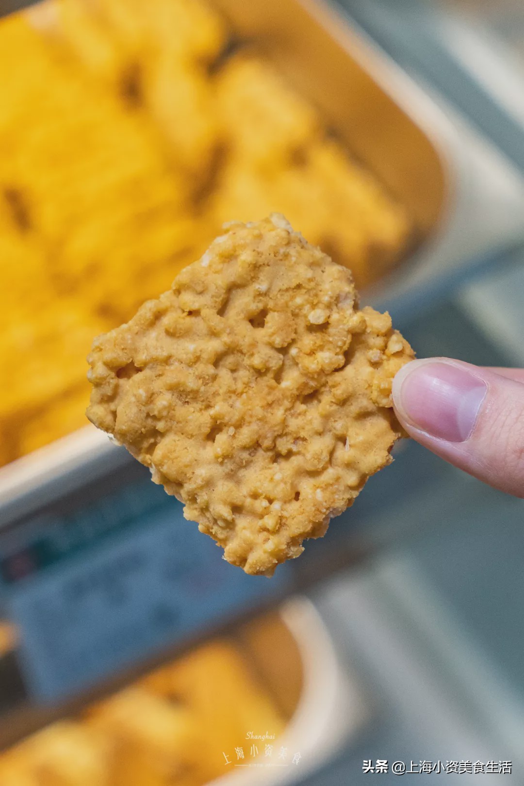 在上海只需要做三件事,在魔都必做的50件事