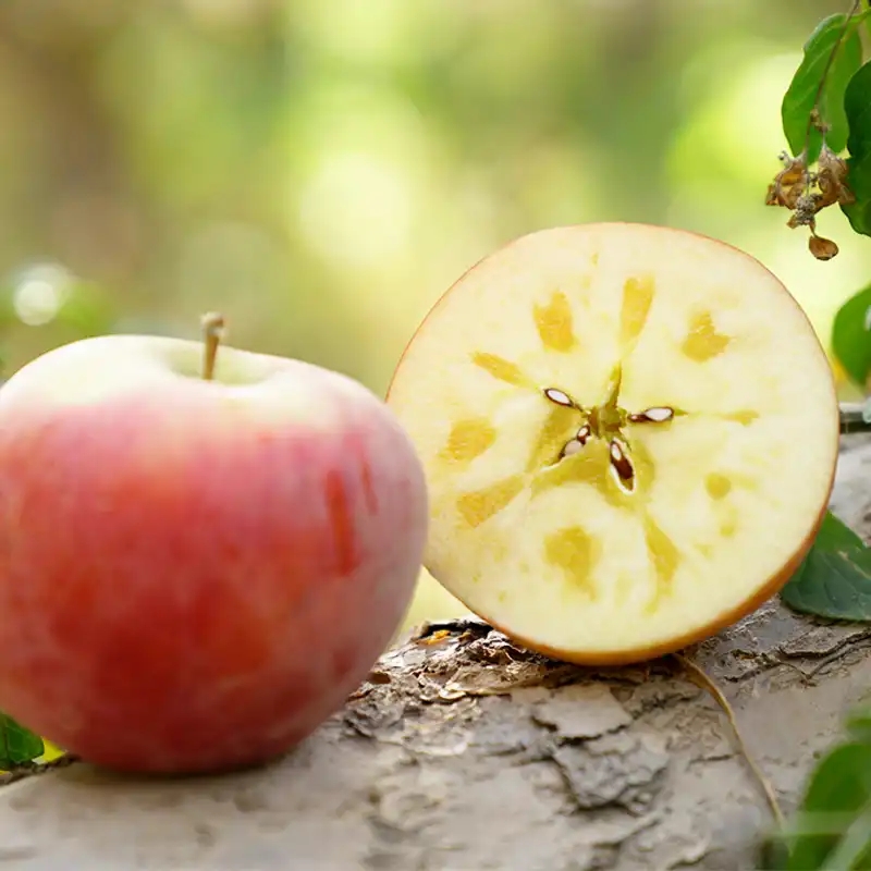 芒种节气适合吃什么水果,芒种吃啥水果