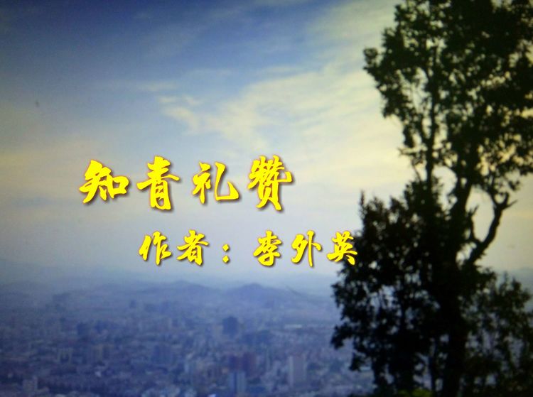 难以释怀的知青情结,60年代的知青情结