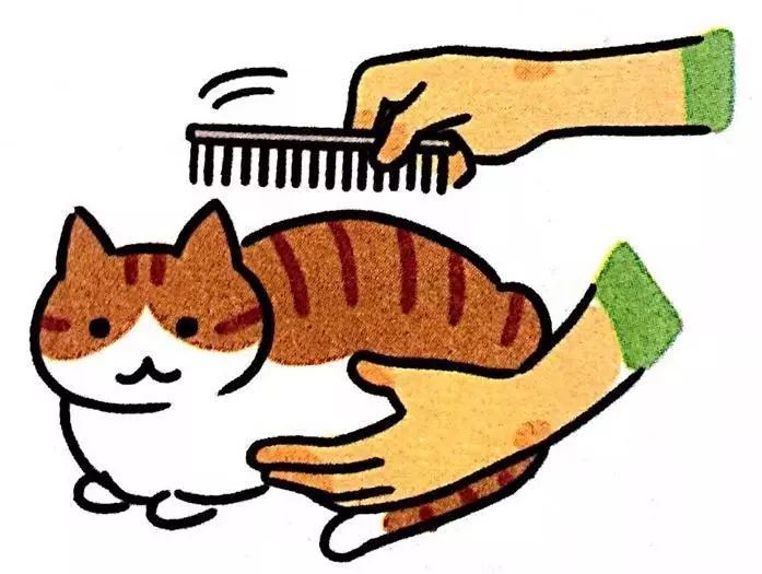 给猫主子梳毛,给猫猫梳毛用什么最好