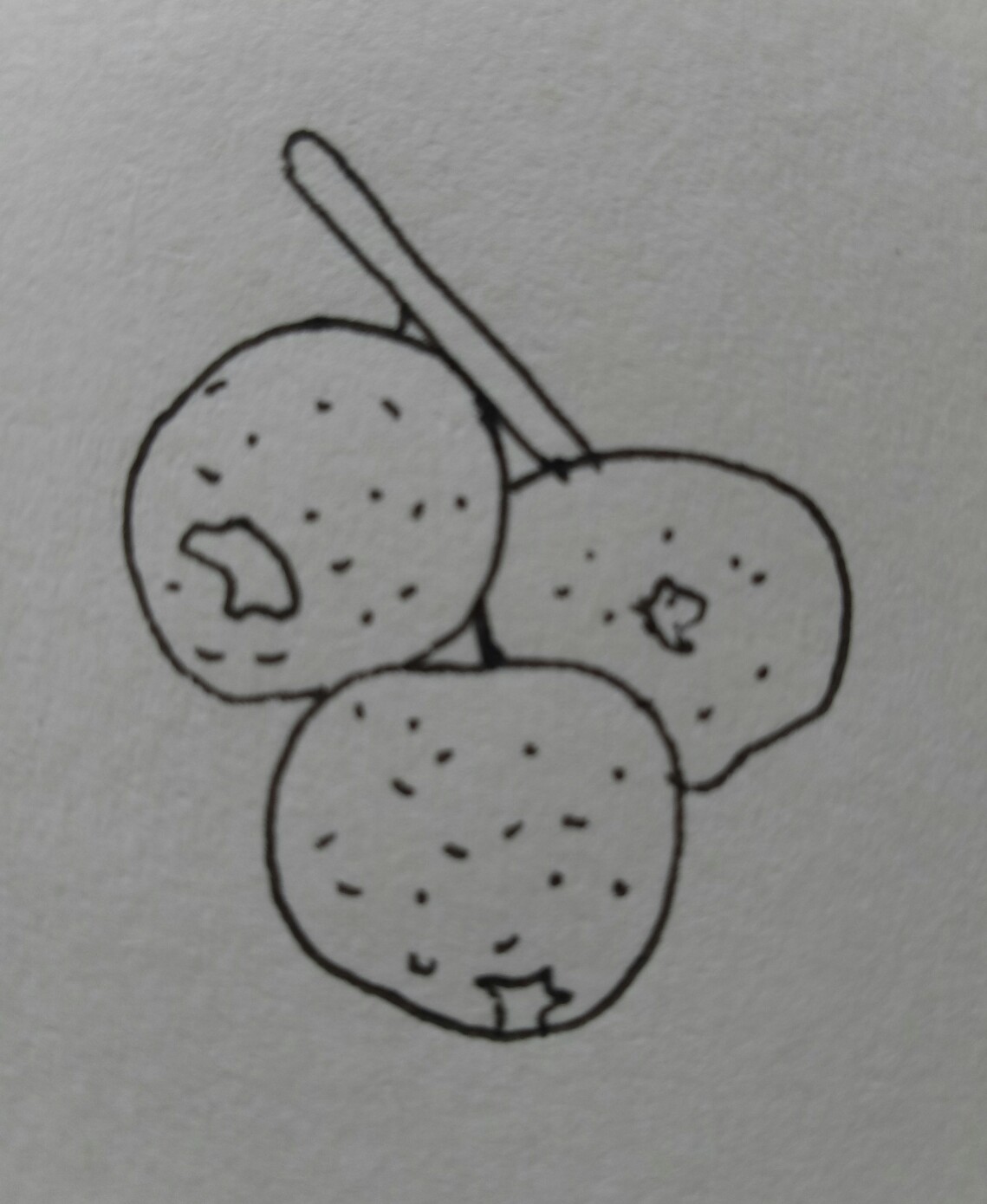 画食物甜品和水果零食简笔画,简笔画儿童3-6岁简单水果