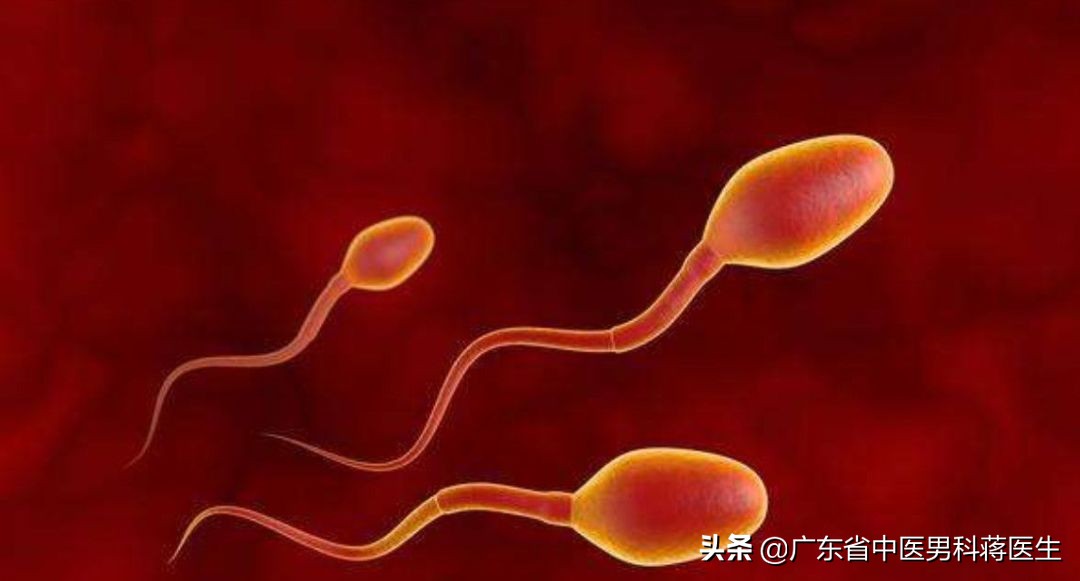 精子带有血是什么病,精子带血的原因及治疗方法