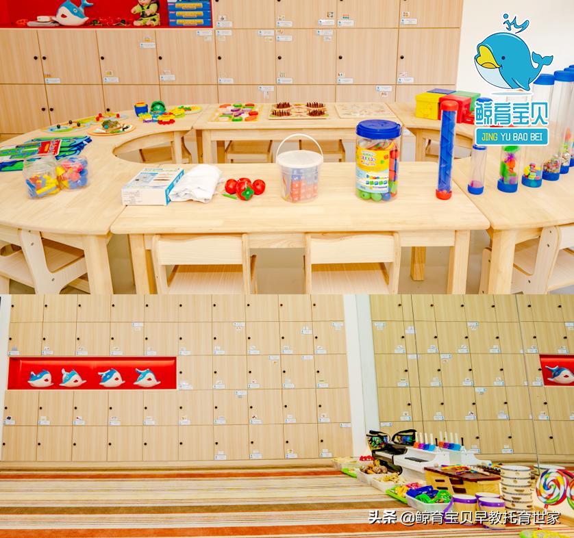 家庭中的蒙特梭利教育,蒙特梭利国际儿童之家价格