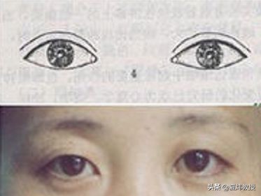 最美的眼睛形状,眼睛是什么样的形状才好看