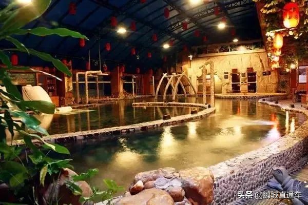 不用去日本就能去的猫岛,不用去日本的海边