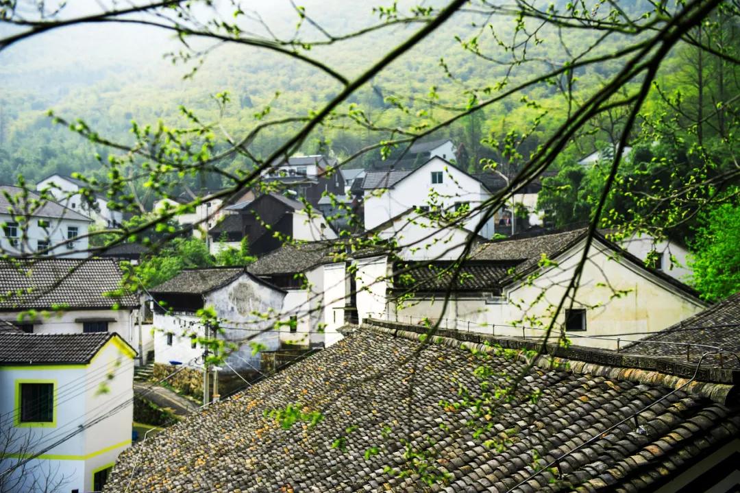 峡谷漂流推荐一个避暑圣地,金丝峡漂流和溶洞漂流哪个好玩