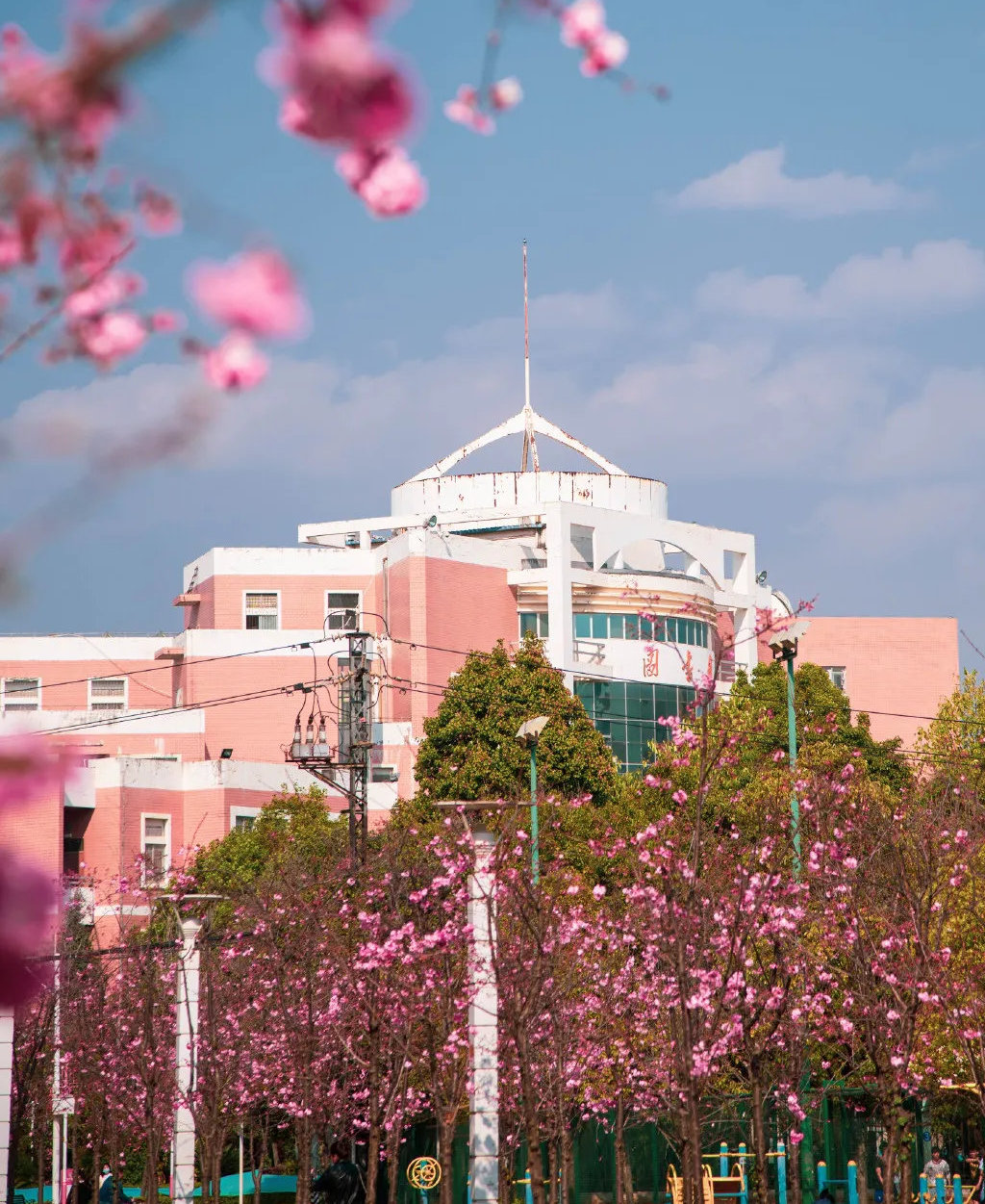 云南财经大学国家重点学科,云南财经大学国家特色专业