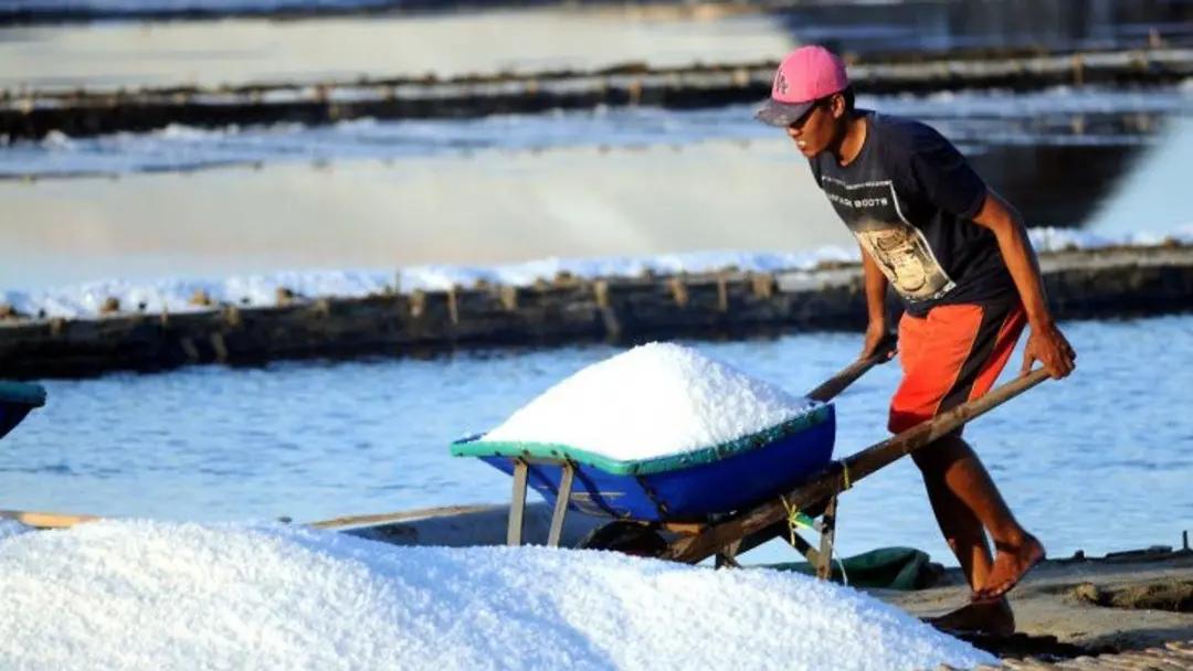 吃了盐会怎么样,吃了几十年盐才知道食盐中的秘密