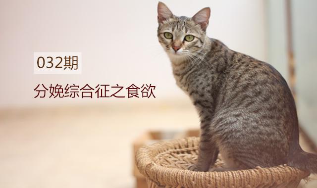 母猫生完崽后脾气暴躁该怎么解决,母猫生完崽后有点焦躁该怎么解决