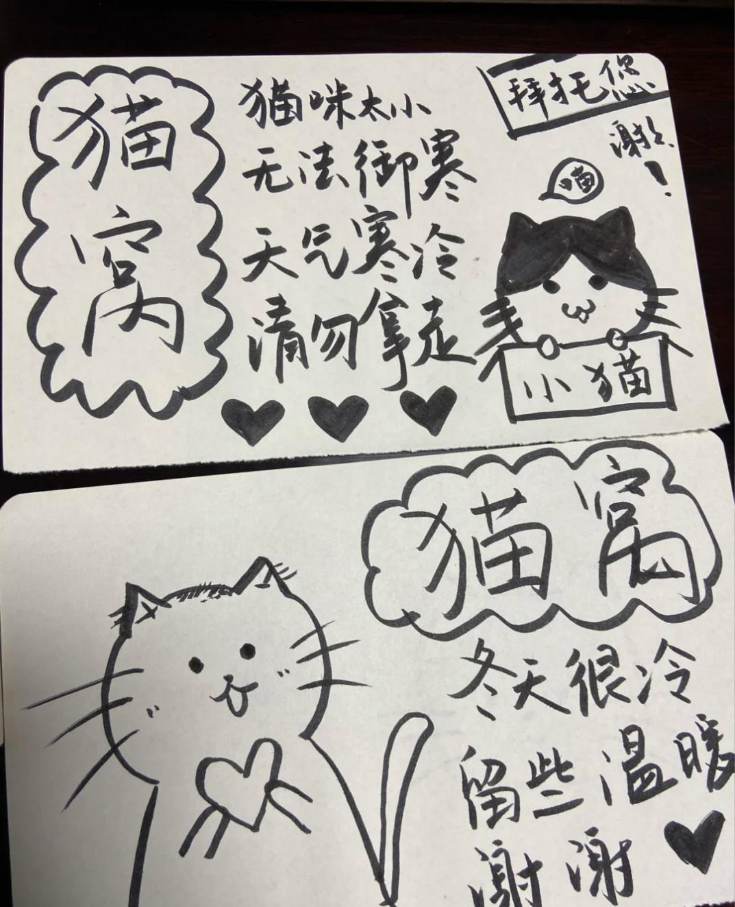 怎么给流浪小猫保暖,流浪猫如何度过寒冷的冬天