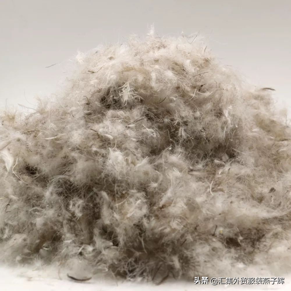 world of moncler羽绒服 (moncler羽绒服为什么这么贵)