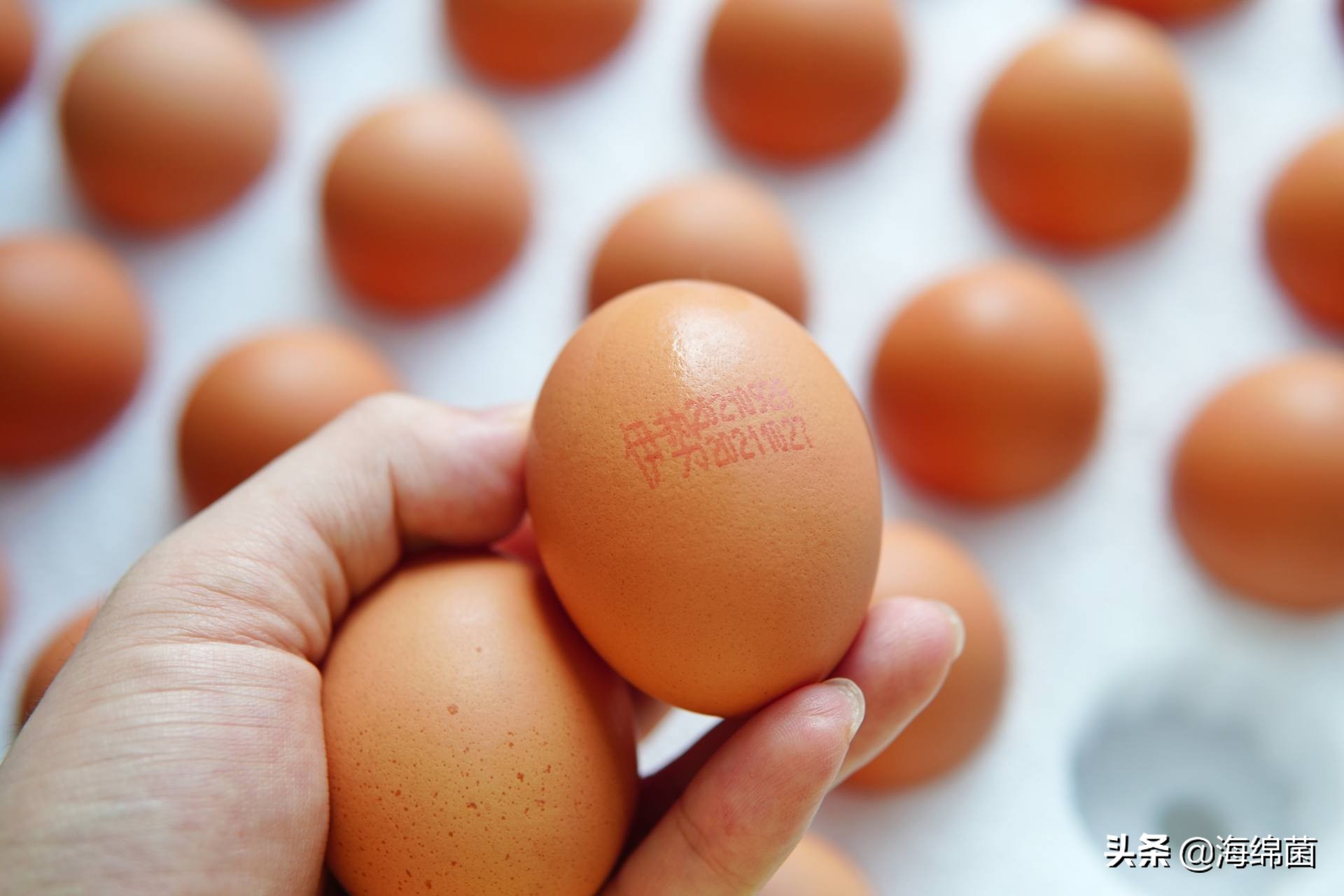 博拉利多功能蒸汽料理锅测评,博拉利蒸汽锅介绍