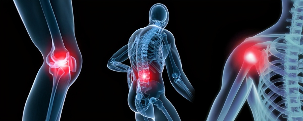 姜水对健身的作用,姜水对植物的功效与作用