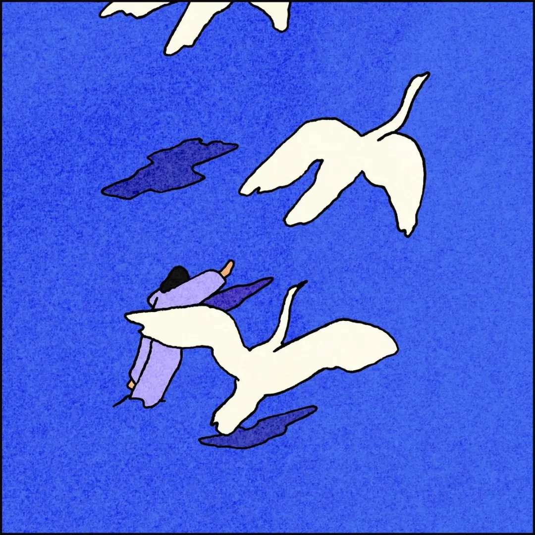 纽约时报去年的文章,纽约时报年度最佳图书