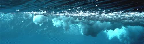 专访｜悉尼大学赛艇俱乐部主席WilliamRaven