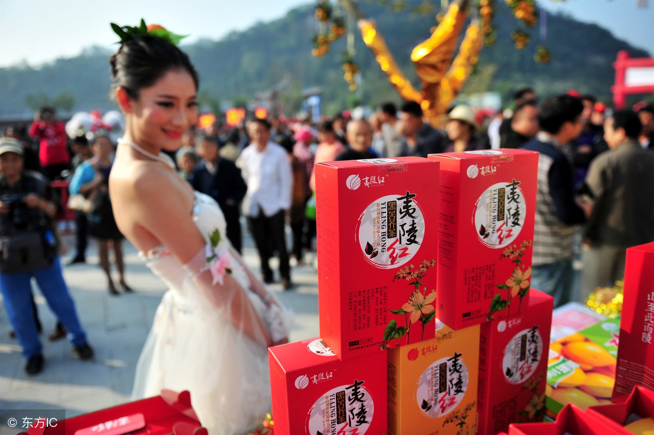 旅游行业的病毒式营销案例,旅游营销渠道案例