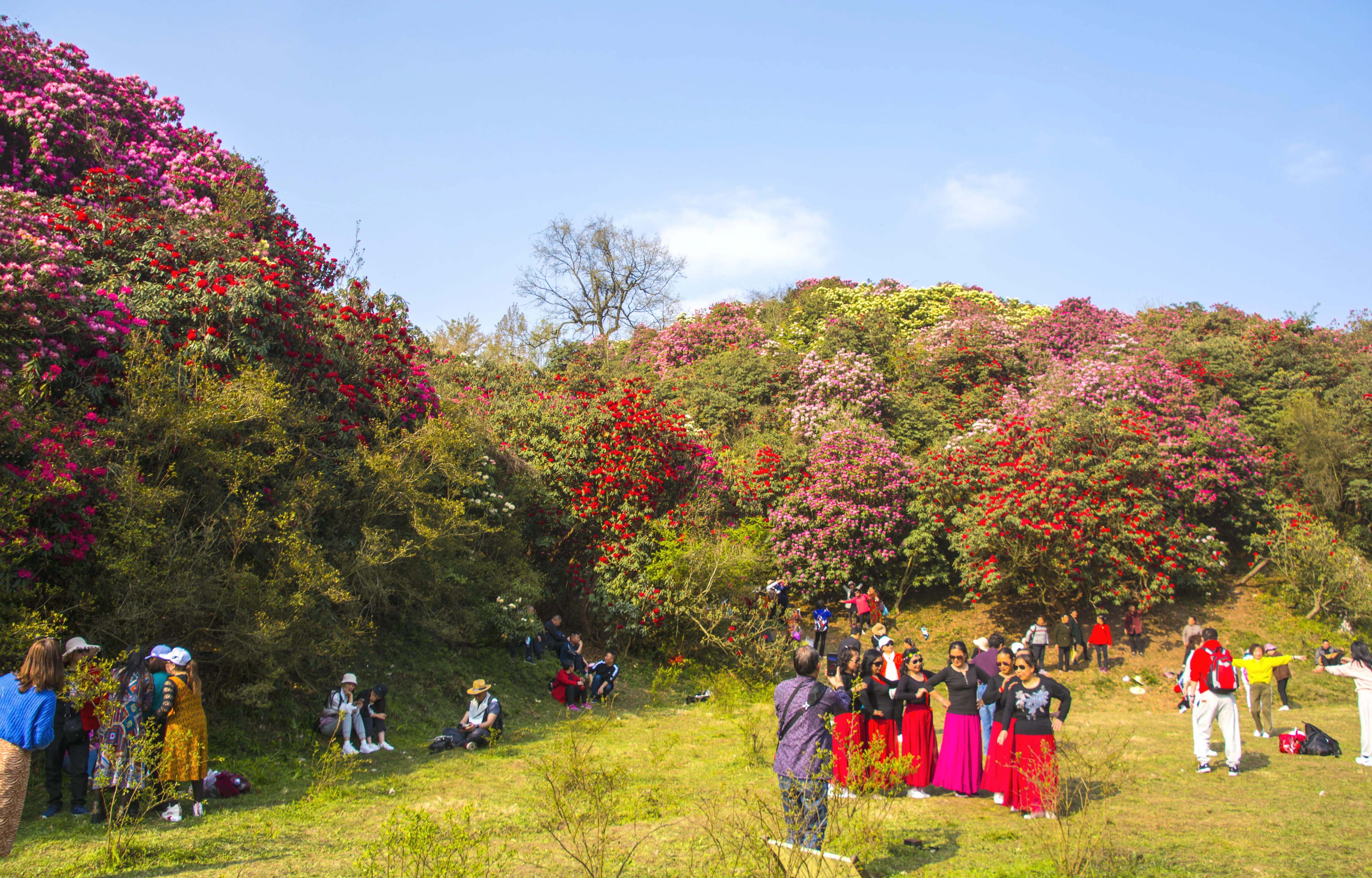 贵州大学1984级管科系同学欢聚毕节录