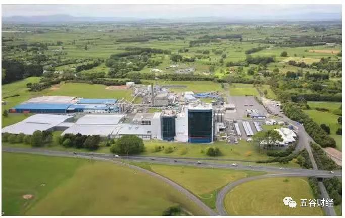 新西兰恒天然奶粉官方旗舰店直播,澳洲奶粉品牌恒天然