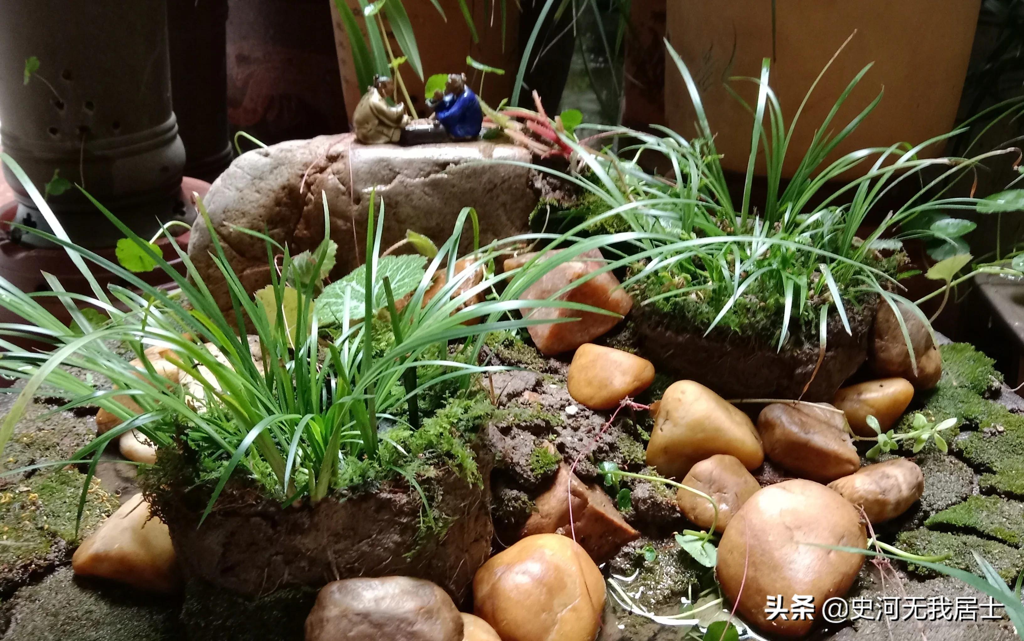 国宝级顶级奇石盛世图腾视频,国宝级奇石有人要吗