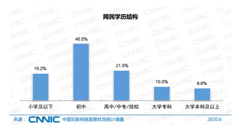 一场游戏一场梦:中国网红们的二十年