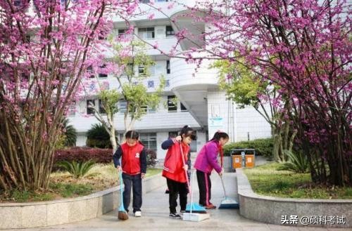 小学语文看图写话方法和技巧,一年级语文看图写话专项练习答案