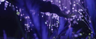 黑暗迷宫超大型环绕实景迷宫,巨型沉浸式迷宫