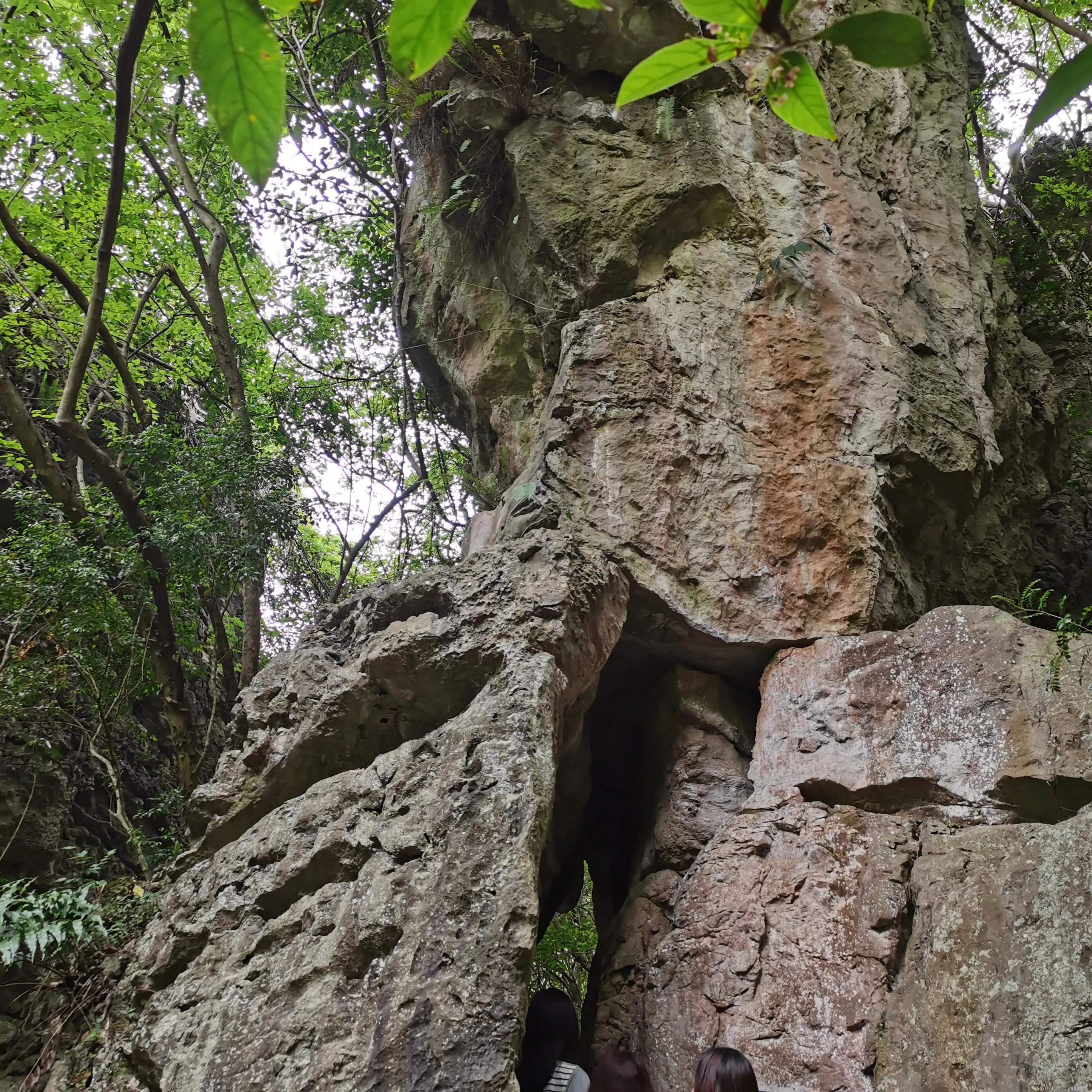 向南方和向北方,登上山顶看美景贵州黄果树瀑布