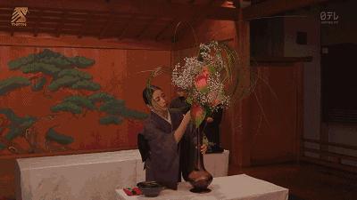 日本顶尖的花道,日本三道茶道书道花道