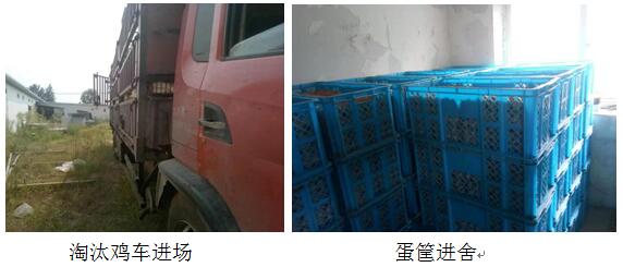 拿什么拯救你保健品,拿什么拯救你的鼻子