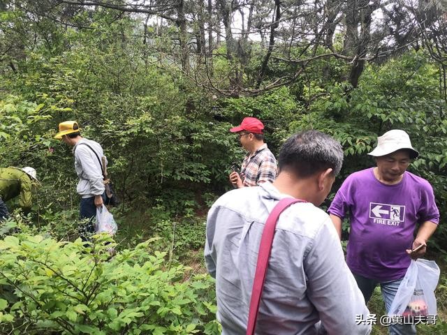 黄山最吓人景区,黄山爬山最吓人的地方