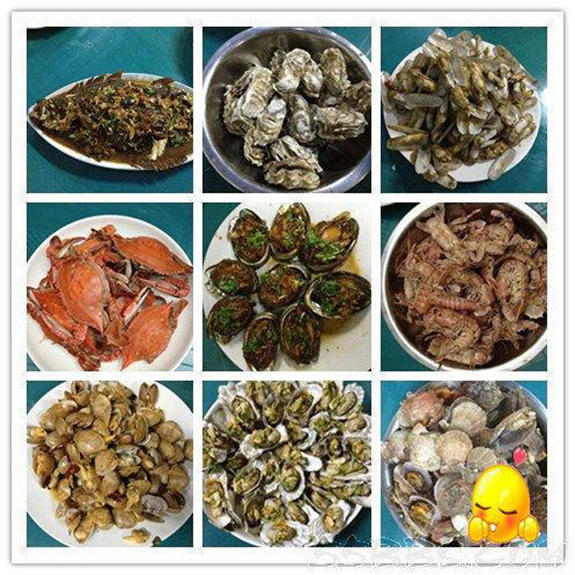 一轮骄阳升日照，二夜美梦伴海涛，三天渔家海鲜饱朋友同行欢笑多