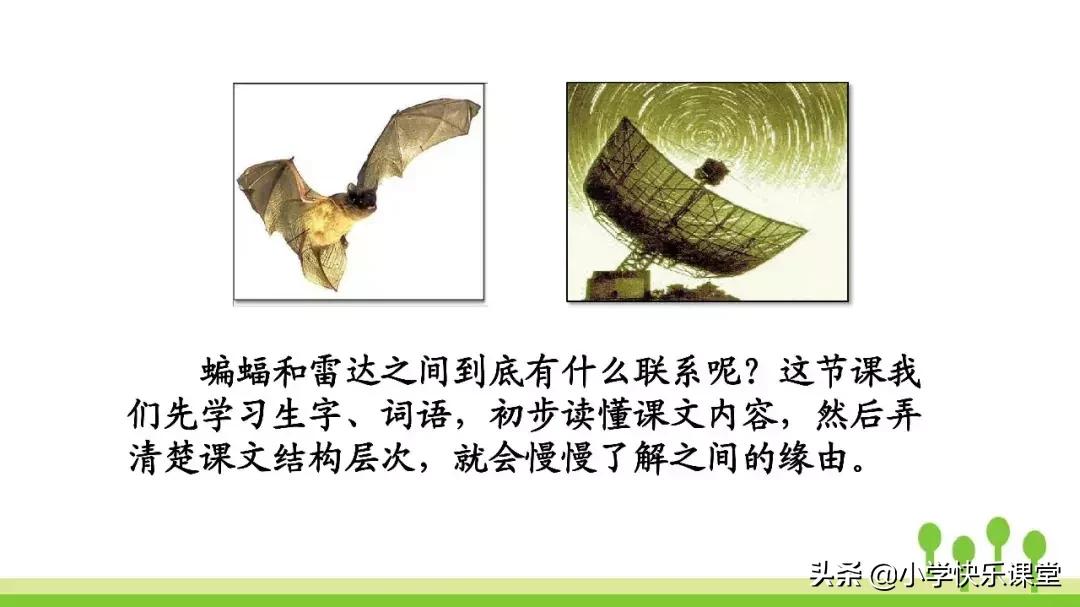 四年级上册语文蝙蝠和雷达课后题,部编版四年级上册语文蝙蝠和雷达
